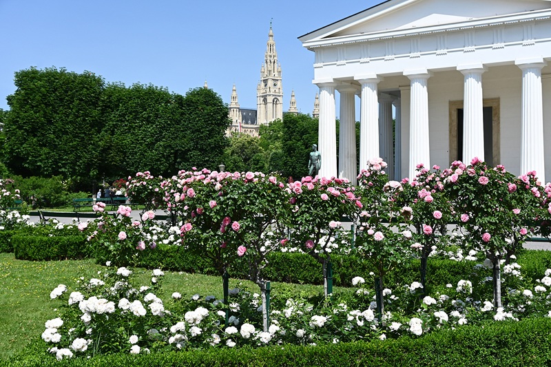 Vienna solo travel in europe