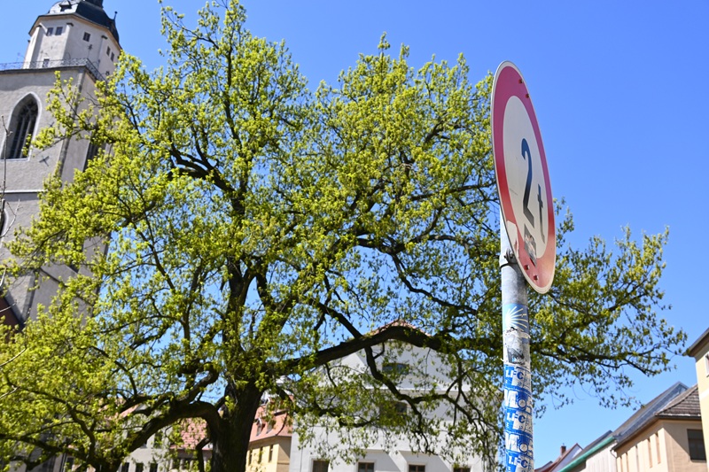 Camino sign in Lutherstadt Wittenberg Germany