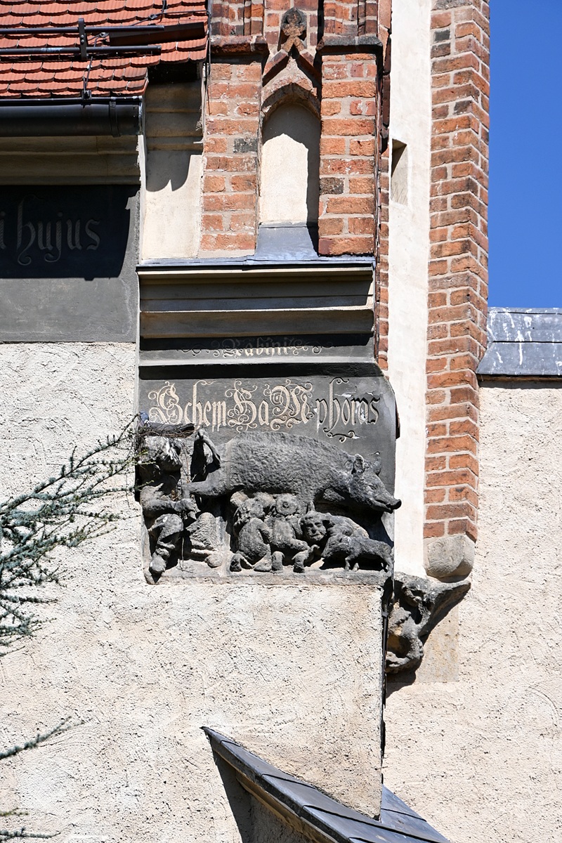 Judensau antisemitic fresco Lutherstadt Wittenberg Germany