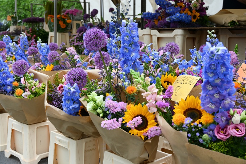 flowers at the saturday market schouwburgplein antwerpen